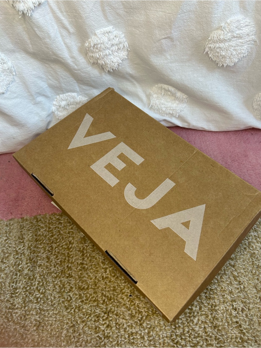 Veja Exclusive Campo Bold Sneakers Pink - Picture 16 of 16